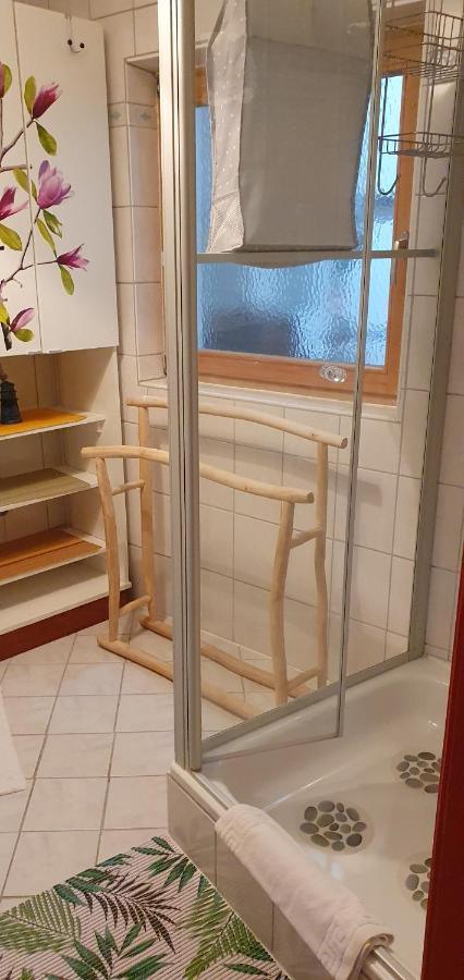 Ferienwohnung Vogl Mit Klimaanlage Und Kaminofen Viechtach Eksteriør billede